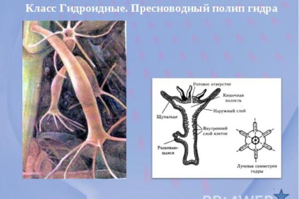 Кракен ссылка онлайн