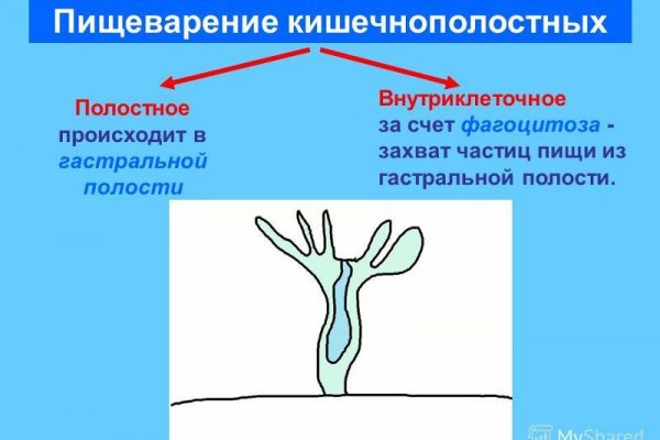 Кракен меф