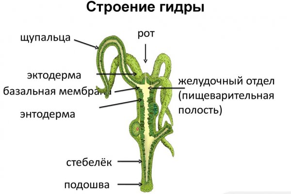 Кракен даркнет актуальная ссылка